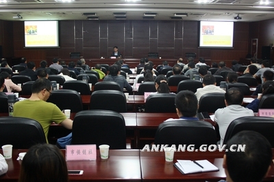 學本領 強素質 賦能高質量發展——市政府機關第五次集中學習聚焦經濟與商務信息咨詢服務